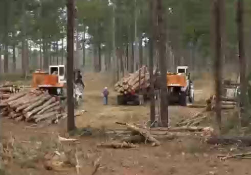 Webinar Preview Image