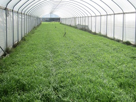 Webinar Preview Image