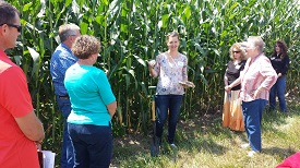 Webinar Preview Image