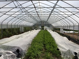 Webinar Preview Image