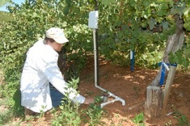 Webinar Preview Image