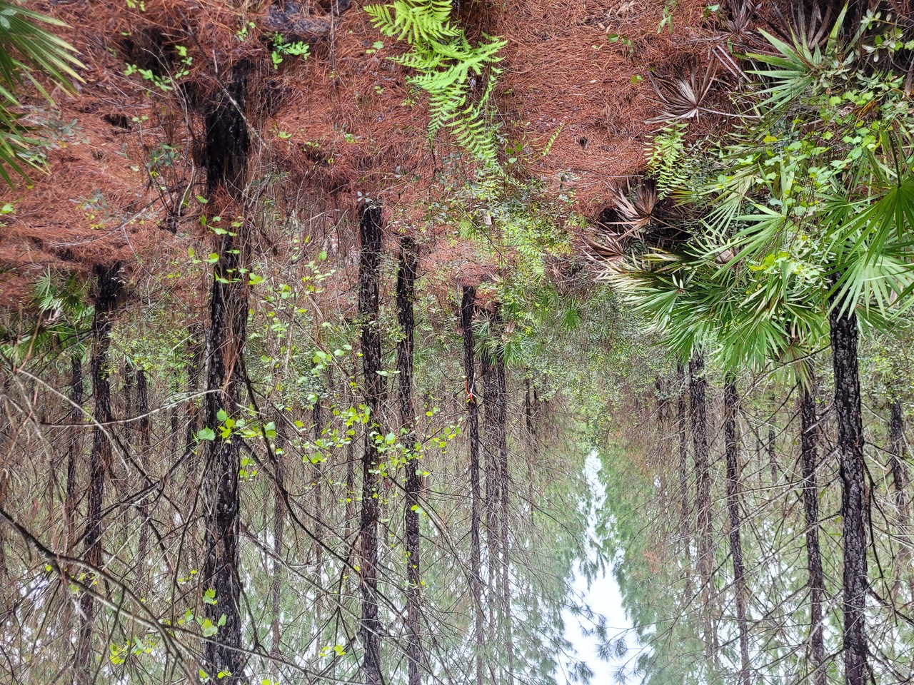 Webinar Preview Image