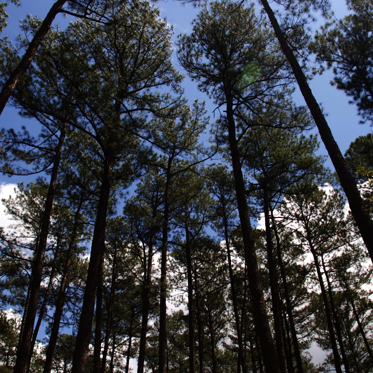 Webinar Preview Image