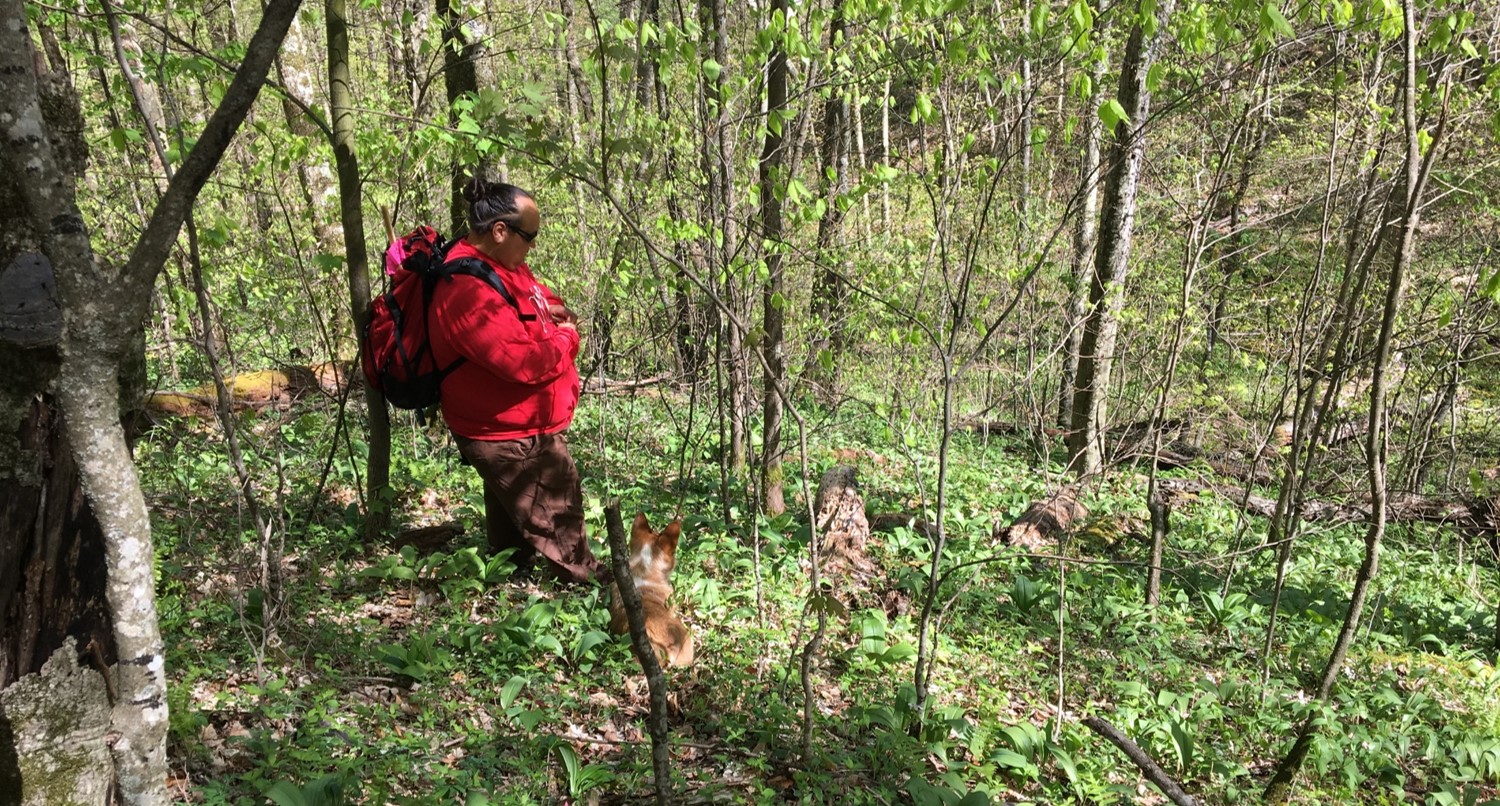 Webinar Preview Image