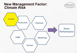 Agriculture Adaptation - Stories from the Field