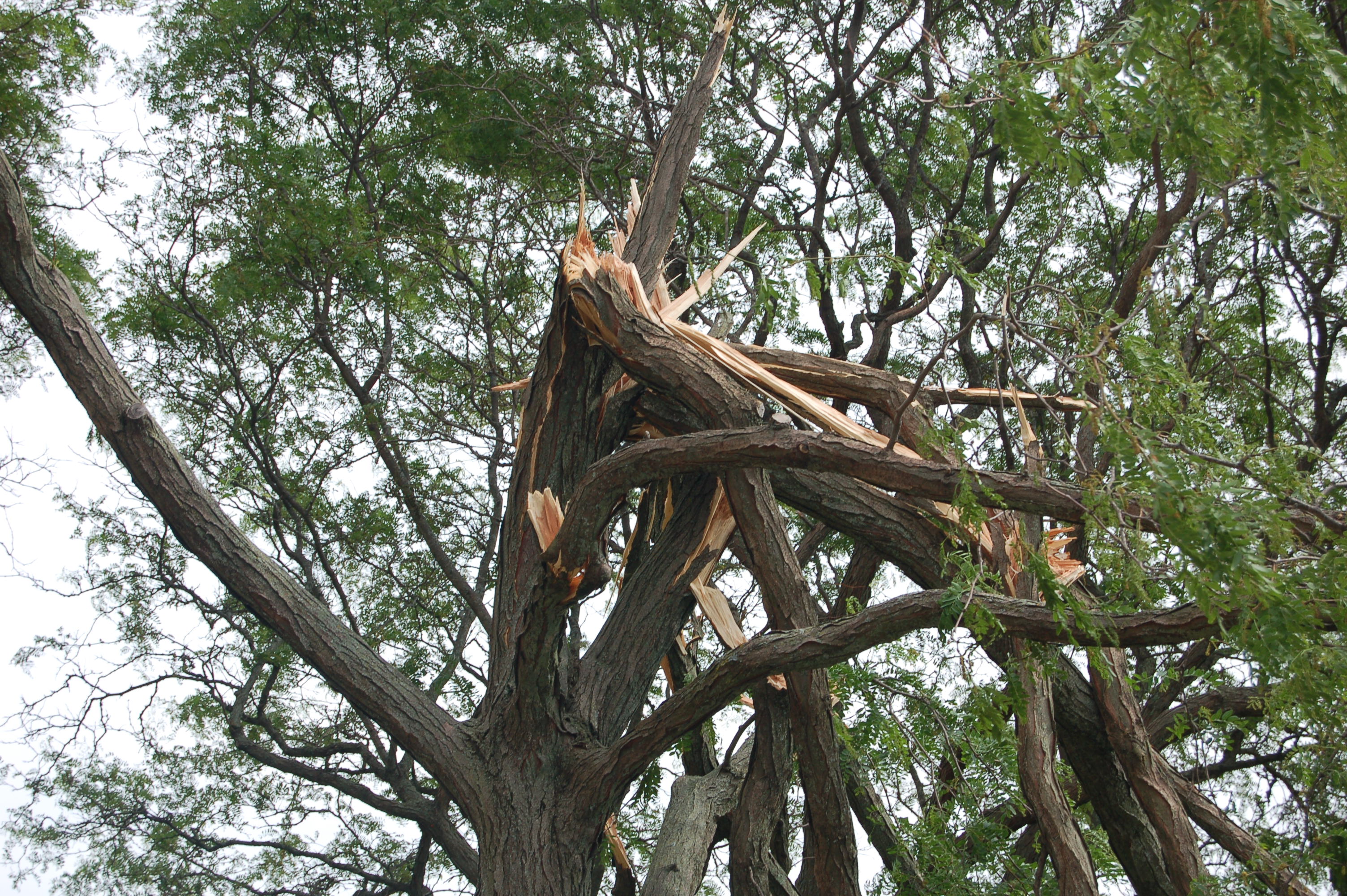 Webinar Preview Image