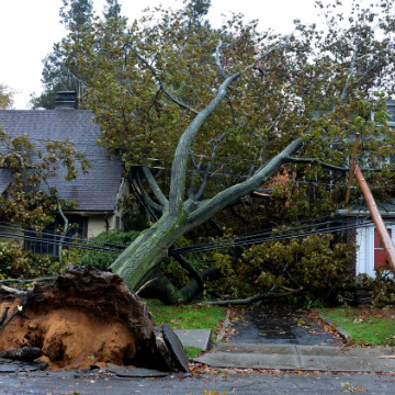 Webinar Preview Image