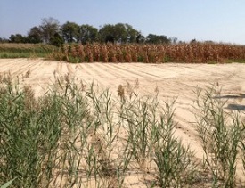 Webinar Preview Image