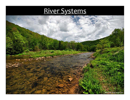 Stream Habitat Management