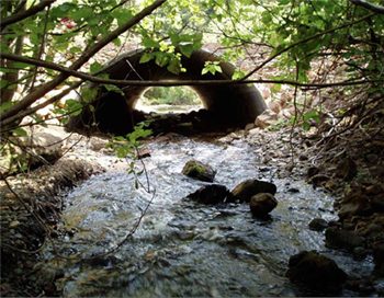 Stream Simulation Culvert Design and Performance