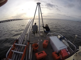 Webinar Preview Image