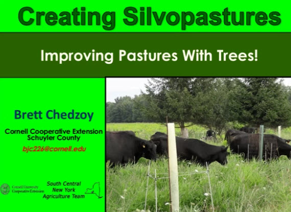 Webinar Preview Image