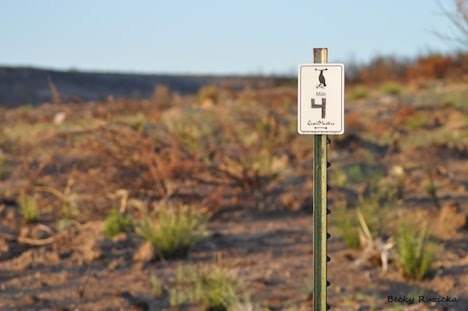 Webinar Preview Image