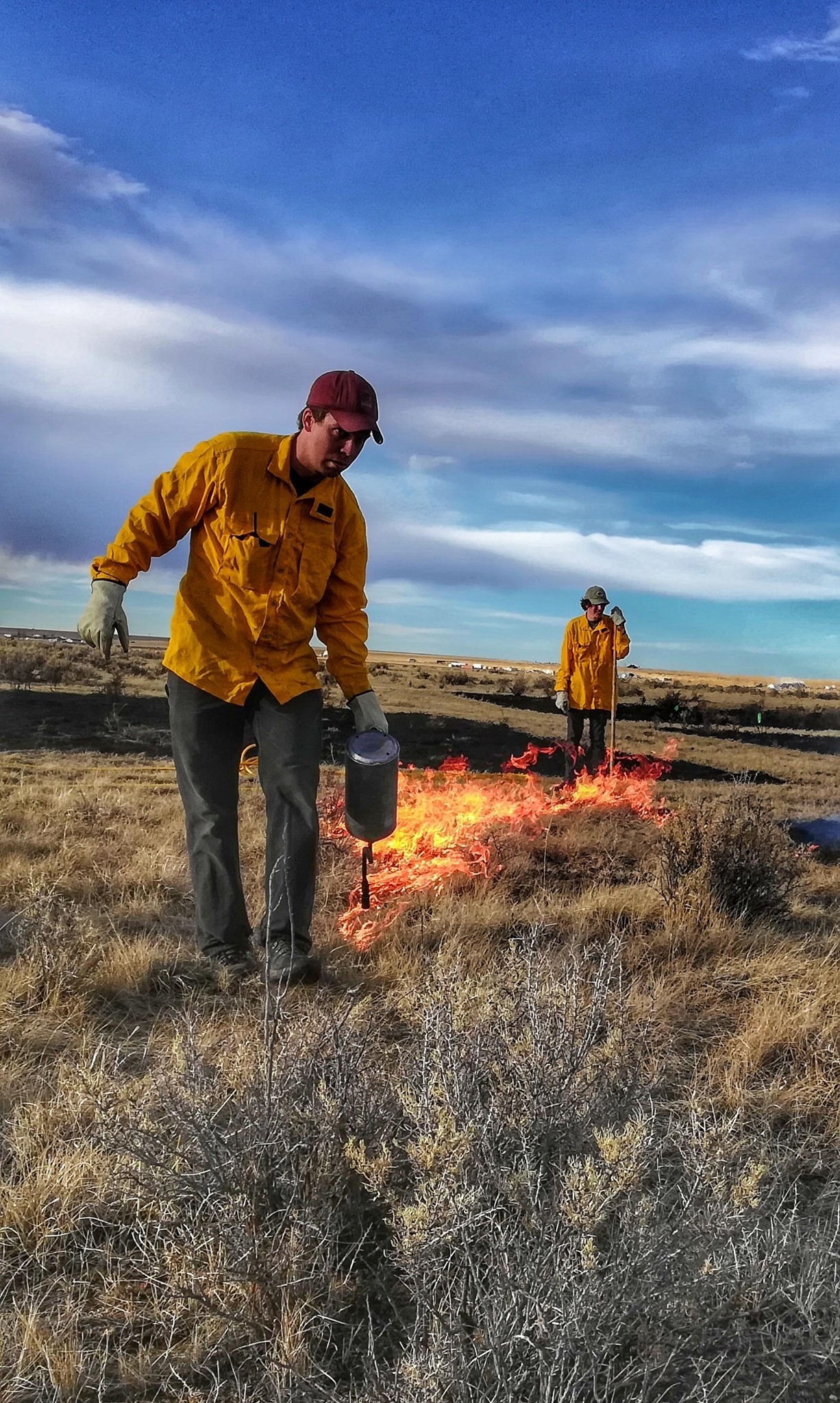 Webinar Preview Image