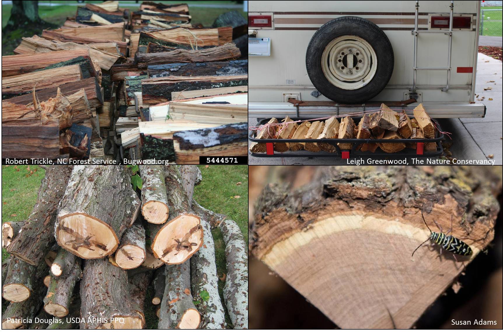 Webinar Preview Image