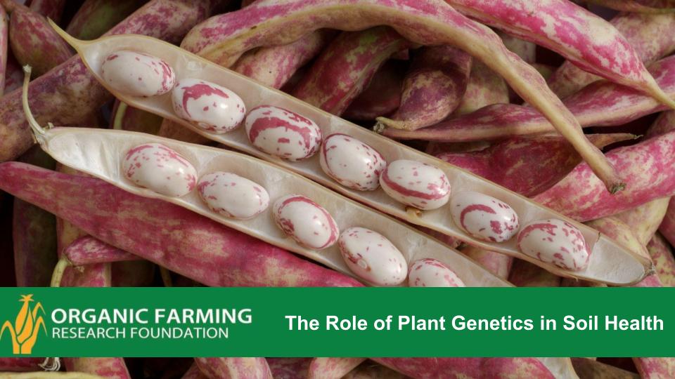 Webinar Preview Image