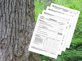 Webinar Preview Image