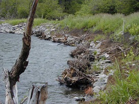 Webinar Preview Image