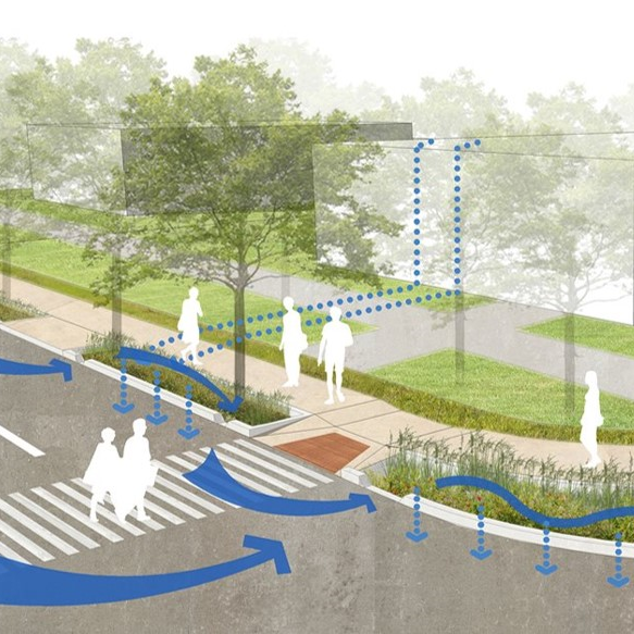 Webinar Preview Image