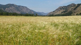 Webinar Preview Image