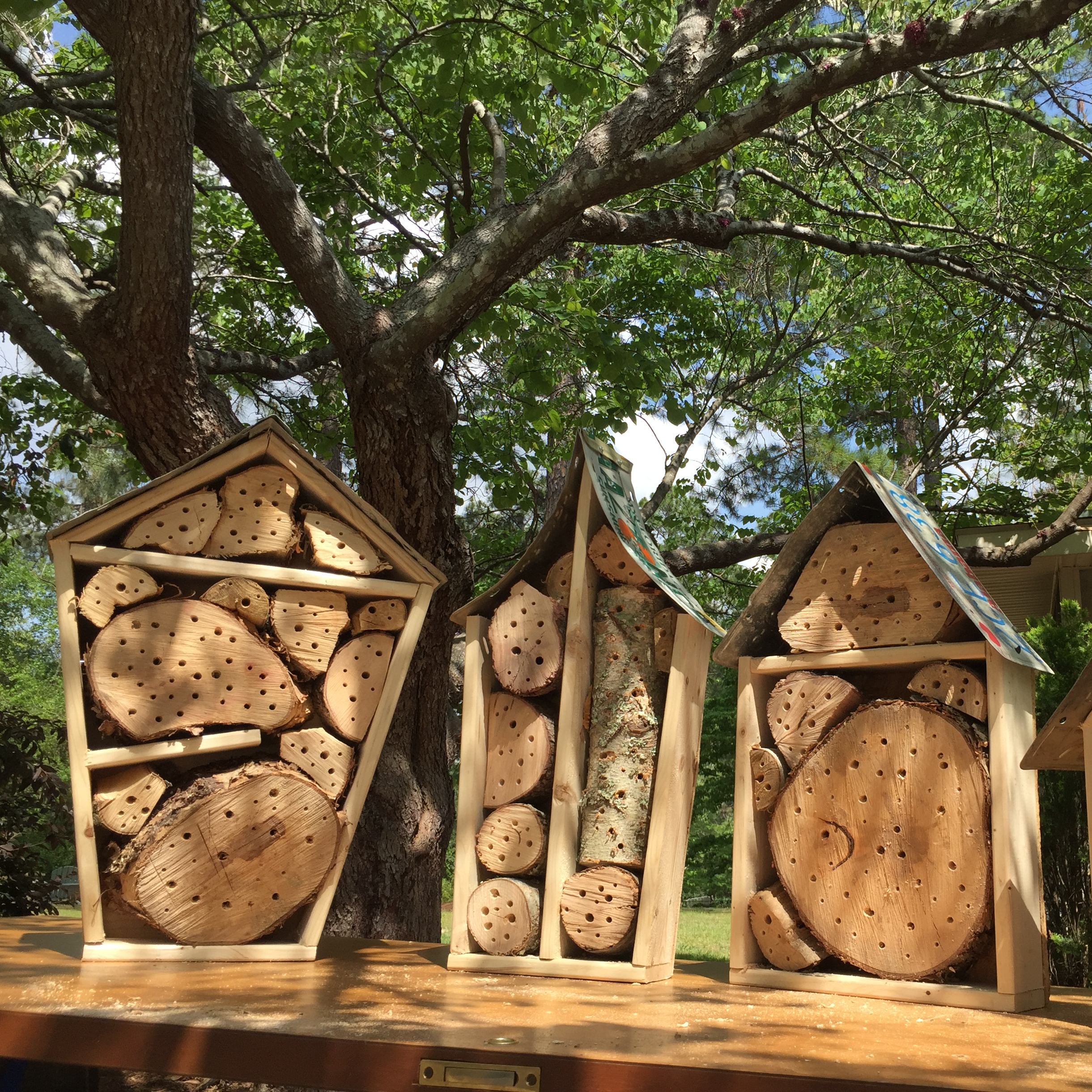 Webinar Preview Image