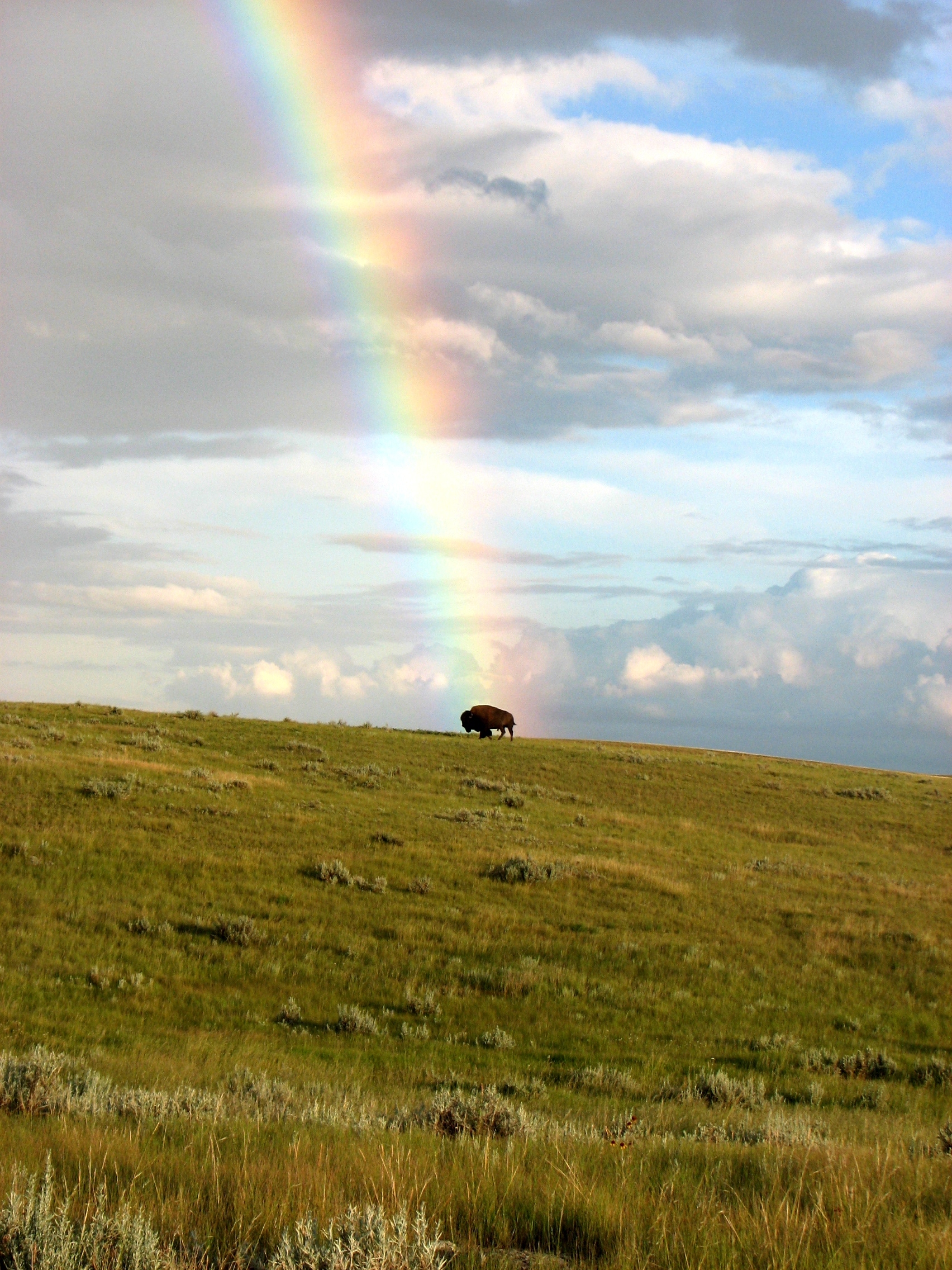 Webinar Preview Image