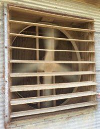 Webinar Preview Image