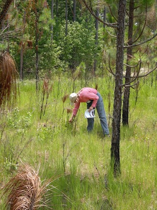 Webinar Preview Image