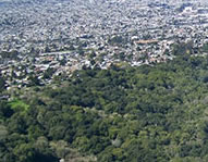 Webinar Preview Image