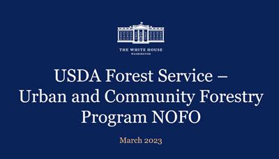 Webinar Preview Image