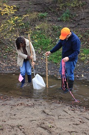 Webinar Preview Image