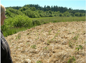 Webinar Preview Image