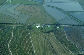 Webinar Preview Image