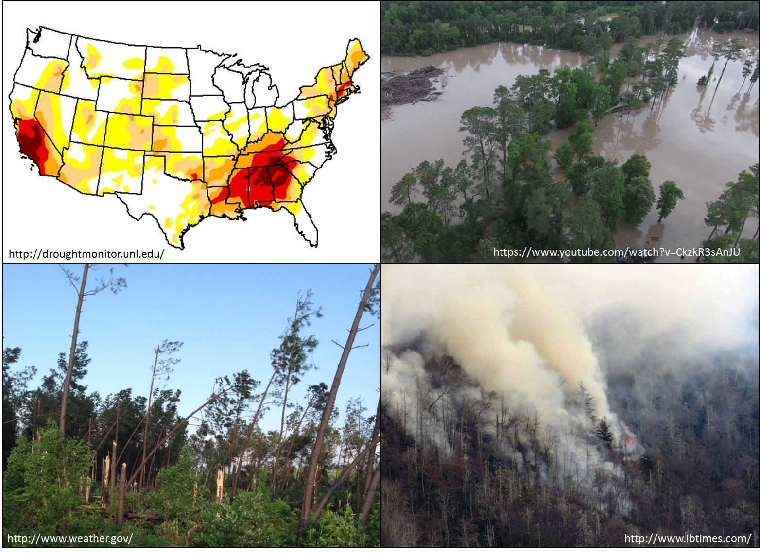 Webinar Preview Image