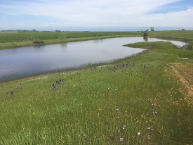 Webinar Preview Image