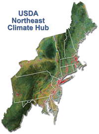 Webinar Sponsor Image