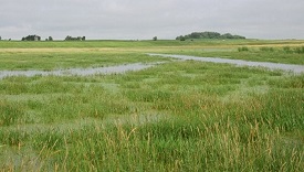 Webinar Preview Image