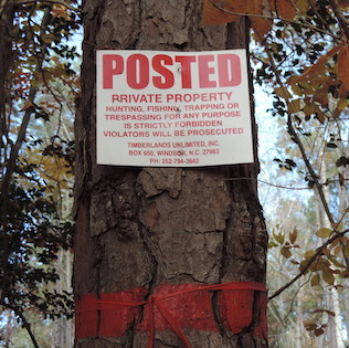 Webinar Preview Image