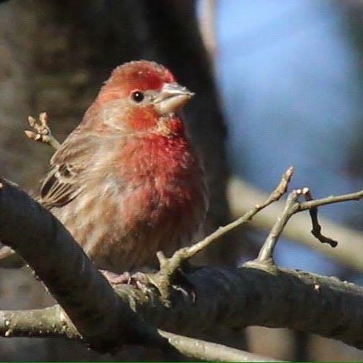 Webinar Preview Image